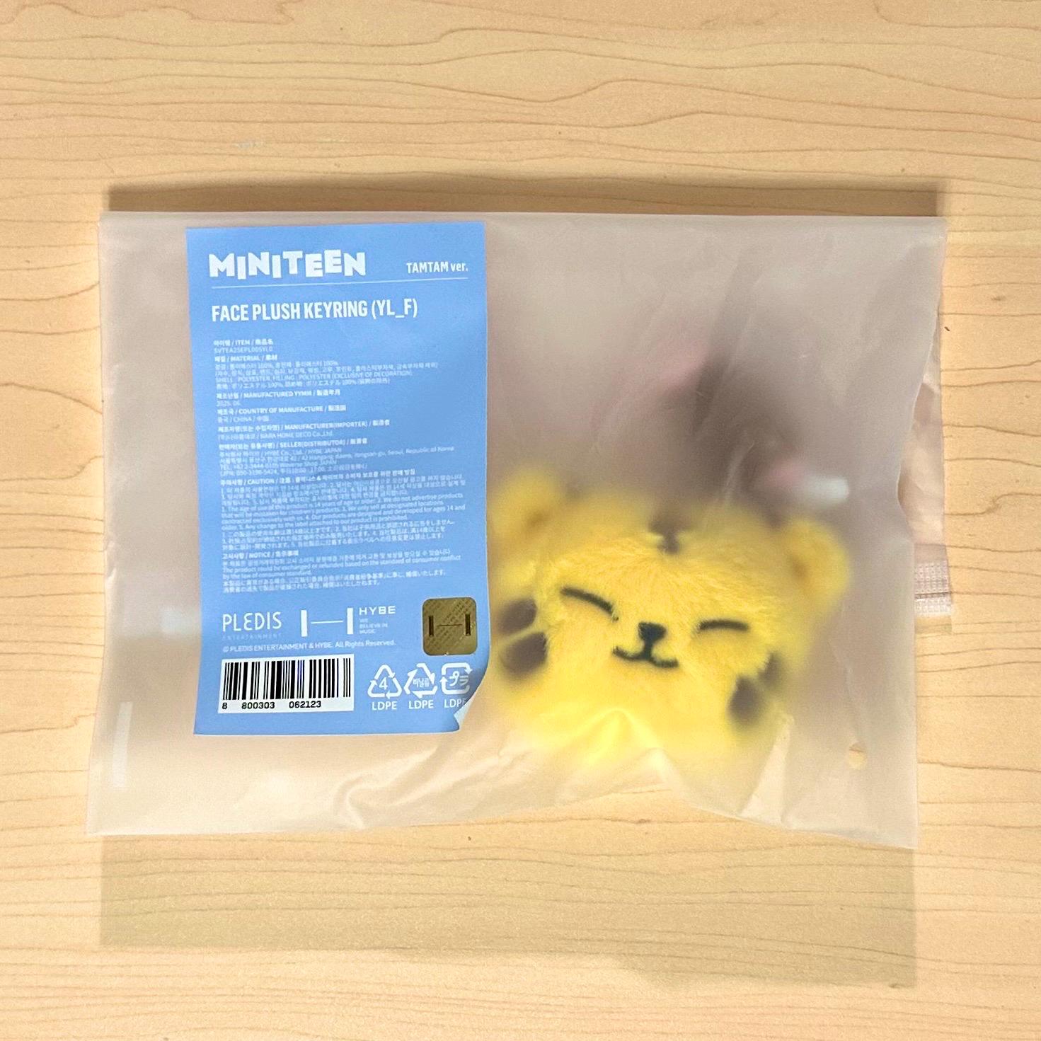 OFFICIAL SEVENTEEN Miniteen Face Plush Keyring - Etsy