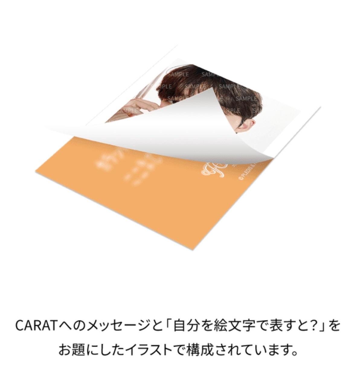 OFFICIAL SEVENTEEN Follow Again to Japan Instant Photo Sticker