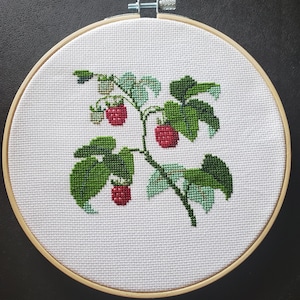 Flowering Plants of Denmark - Raspberry