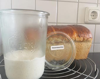20+ Years - Sourdough Starter // Organic Wheat Flour Type 550, dried