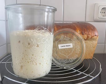 Lievito Madre - Italian sourdough starter // Organic wheat flour type 405, dried