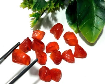 Karneol Edelstein Rohsteine Set: 13 Geschliffene Heilsteine (7-12 mm, 52.5 Cts)