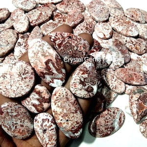 Puede incluir: Una colección de piedras preciosas pulidas de varias formas, incluyendo ovaladas y en forma de lágrima. Las piedras presentan una mezcla de patrones blancos y marrón rojizo, algunas sostenidas en una mano. La imagen está bien iluminada, mostrando los colores y texturas naturales.