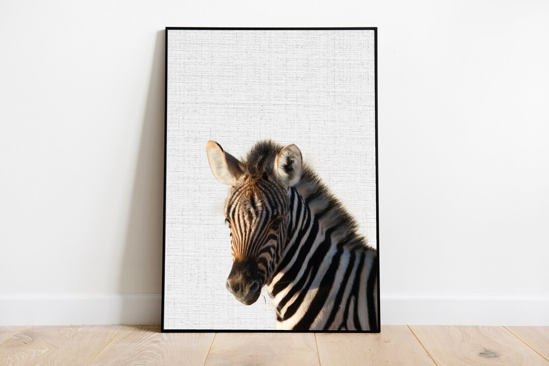 Baby Zebra Print ~ Nursery Decor ~ Printable Wall Art ~ Safari Themed ...