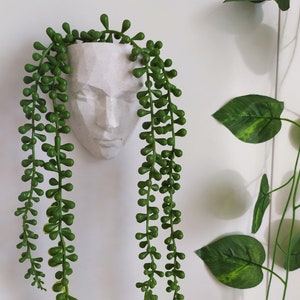 Head Wall Planter STL FILE, Stl File For 3D Printer, Plqnter Pots With Drainage, Planter, Stl File, Indoor Living Wall Planter, Wall Planter