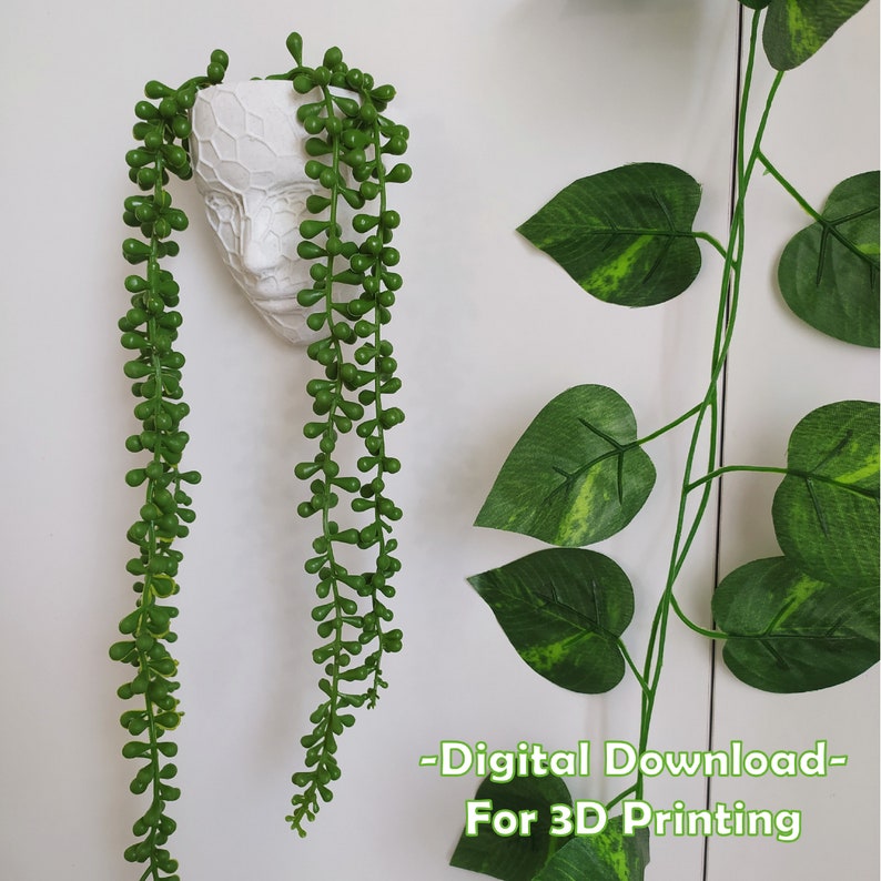 Wall Planter STL FILE, Stl File for 3D Printer, Head Planter With