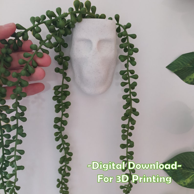 Wall Planter STL FILE, Stl File for 3D Printer, Wall Planter With