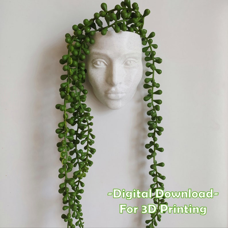 Head Planter STL FILE, Stl File for 3D Printer, Without Dranaige and