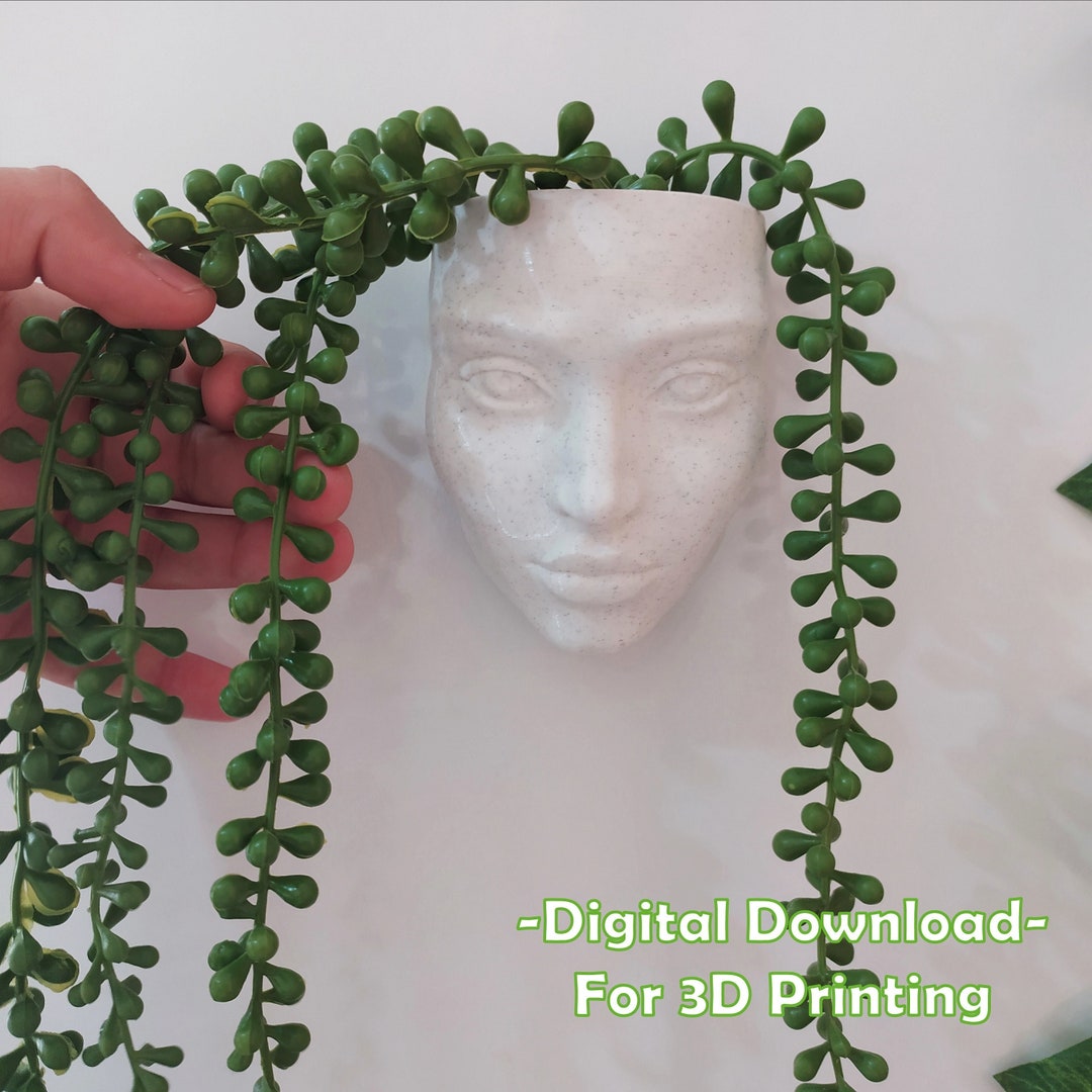 Head Planter STL FILE, Stl File for 3D Printer, Without Dranaige and