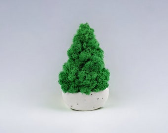 Artificial Christmas tree, Christmas tree alternative, moss Christmas tree