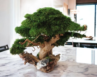 Naturalne drzewo bonsai z kamieniami, realistyczne sztuczne drzewo bonsai, naturalny pień i korzenie