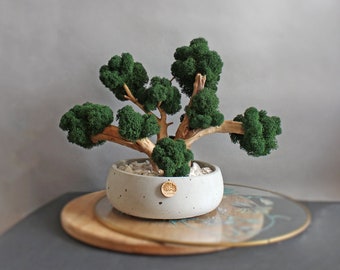 Bonsai with moss, artificial bonsai tree in concrete pot