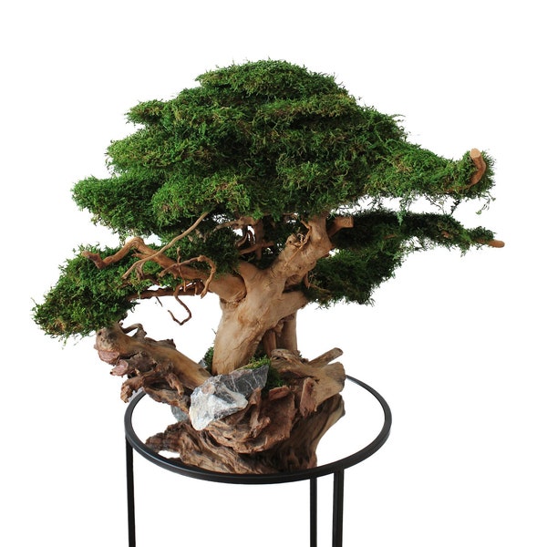 Artificial Bonsai Etsy