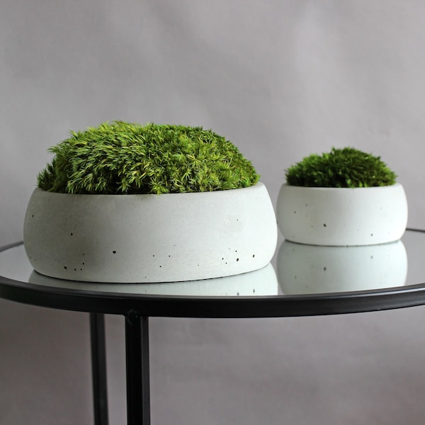 Moss bowl centerpiece, set of 2 concrete bowls with moss