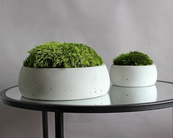 Moss bowls, Set of 2 concrete bowls with preserved moss, Coffee table centrepiece, Shelf decor, Aesthetic home accents, Trendy home decor