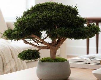 Preserved bonsai tree large, Handmade no care green tree, Zen office decor, Japandi home decor modern
