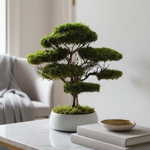 Künstlicher Bonsaibaum, Konservierte Moos Bonsai, minimalistisches Dekor, Wohnzimmerdekor, japanisches Dekor, Zen-Wohnkultur, neues Wohngeschenk Bild 1