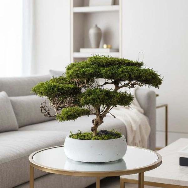 Artificial bonsai tree, Preserved bonsai for living room, Japanese inspired decor, Modern home decor, Reading corner decor, Anniversary gift