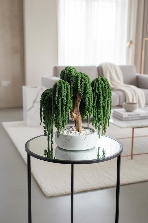 Bonsai di salice piangente, Bonsai artificiale, Decorazione per la casa,  Arredamento organico moderno, Estetica per l'arredamento della stanza,  Regalo per l'inaugurazione della casa, Regalo per la nuova casa - Etsy  Italia