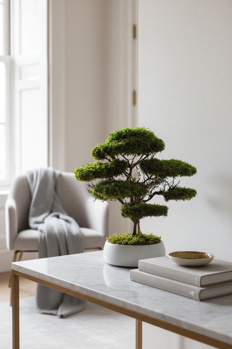 May include: A bonsai tree with vibrant green moss foliage and a dark brown trunk, planted in a round, light gray ceramic pot. The tree features multiple layered, rounded branches covered in dense moss, creating a structured, tiered appearance.