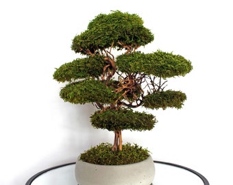 lego bonsai bricklink Bonsai Tree Lego main image 1