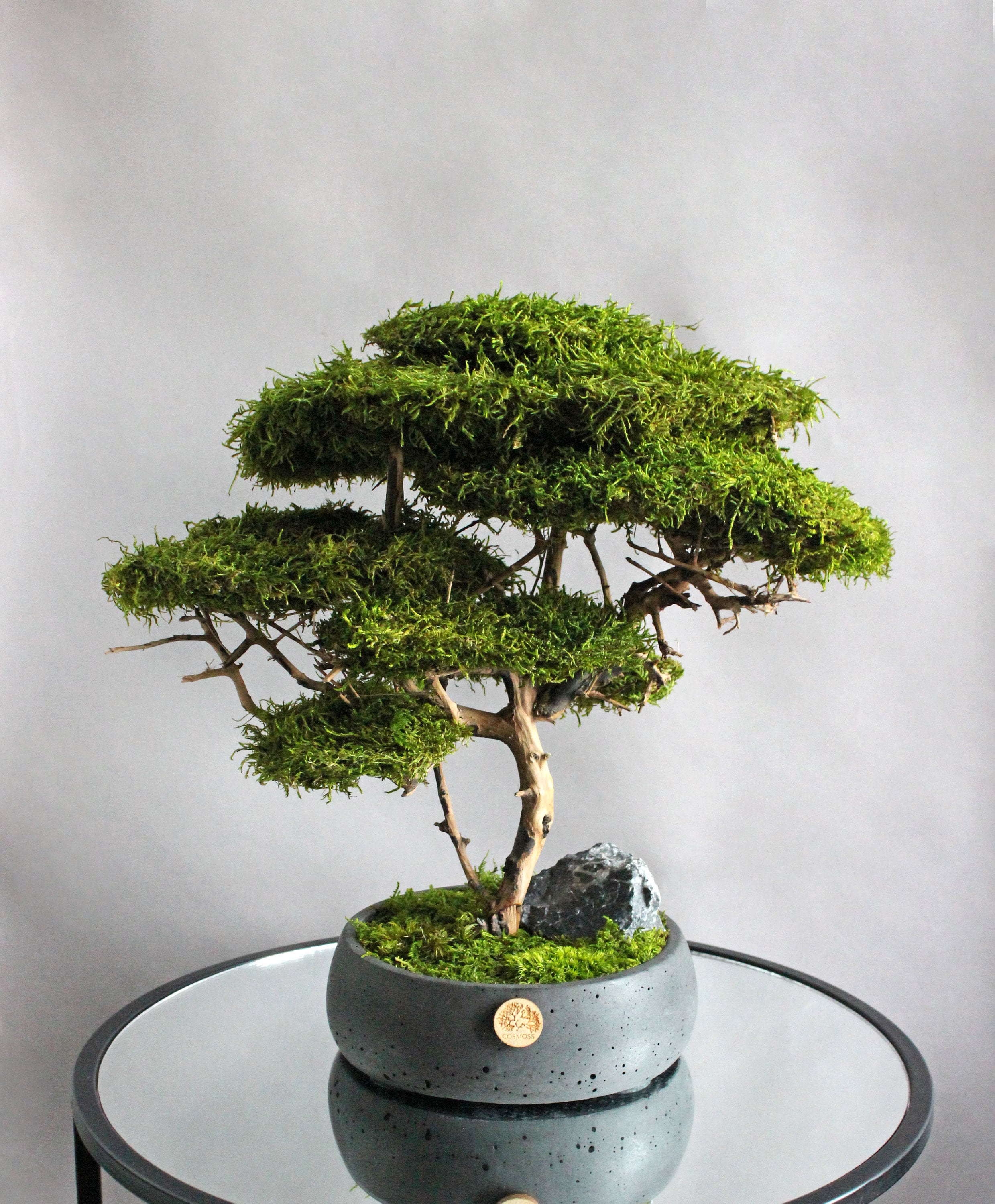 Base ornamentale per vaso in legno, pratica teiera per bonsai