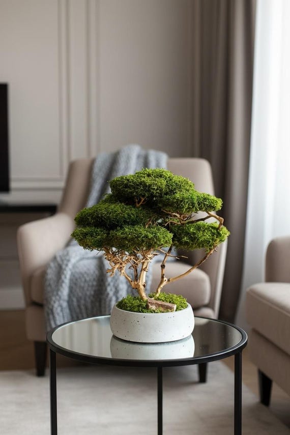 welche erde für eiben Gemeine Eibe (Taxus baccata) | 40-60 cm mit Wurzelballen