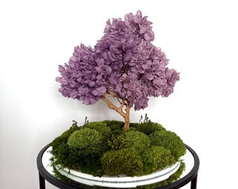 Zen garden desk decor, Moss landscape art, Preserved blossom wisteria bonsai, Fairy garden, Housewarming Gift