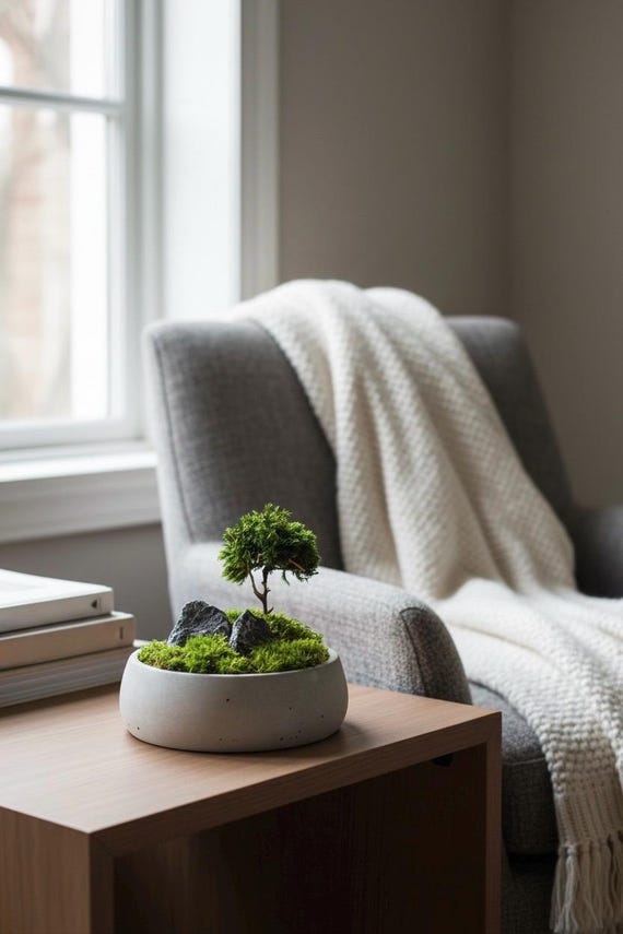Mini Zen Garden With Bonsai, Moss Bowl With Tree and Stones - Etsy