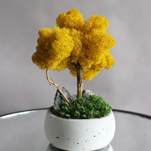 Yellow bonsai tree with stone and moss, autumn table centerpiece, fall decorations for home image 3