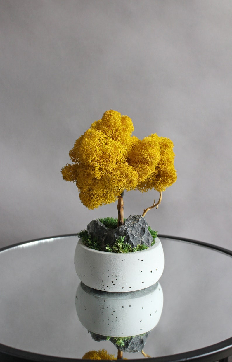 Yellow bonsai tree with stone and moss, autumn table centerpiece, fall decorations for home image 8