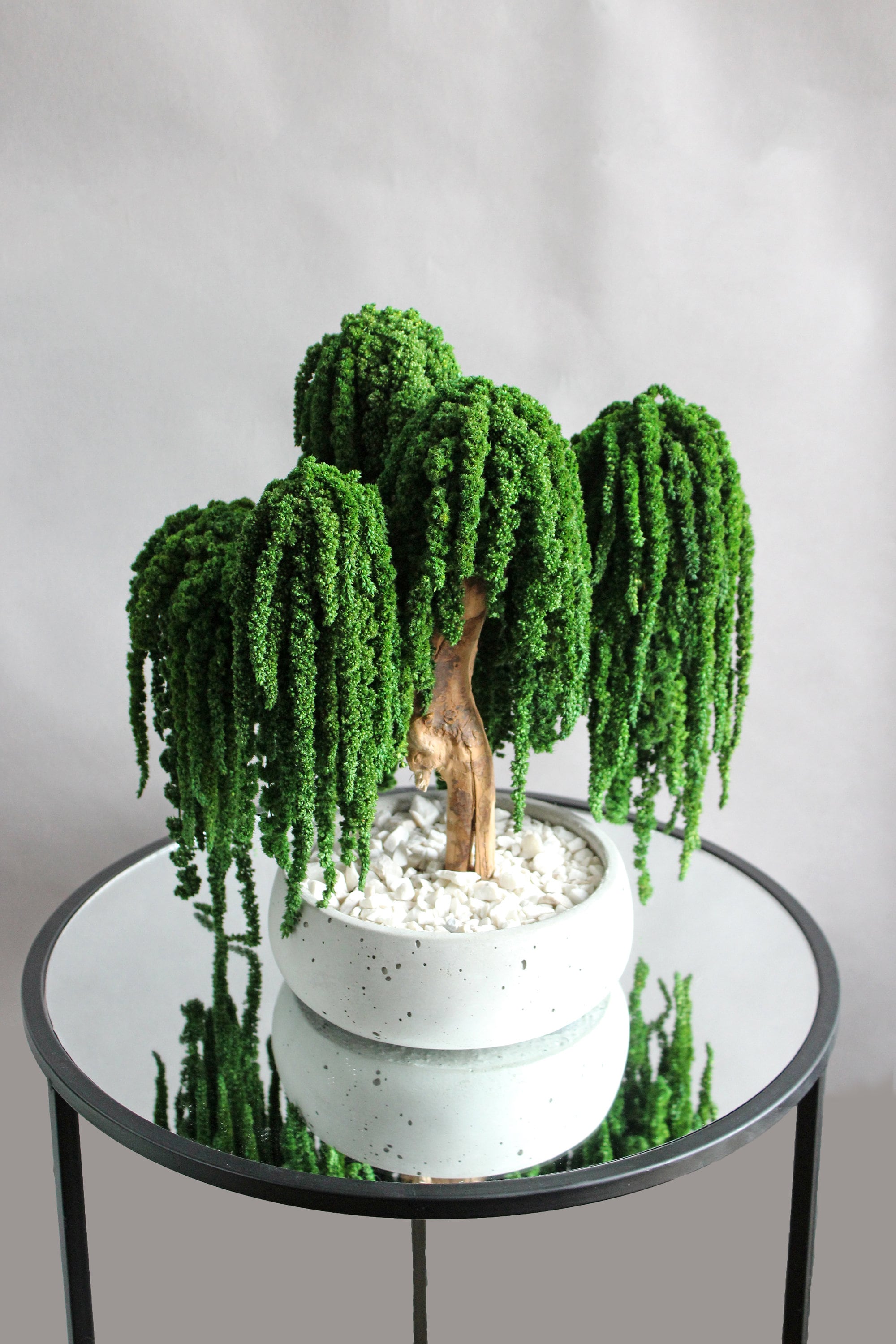 Trauerweide Bonsai, knstliche Bonsai, Inneneinrichtung, modernes  organisches Dekor, Raumdekorsthetik, Einweihungsgeschenk, neues  Wohngeschenk - Etsy.de