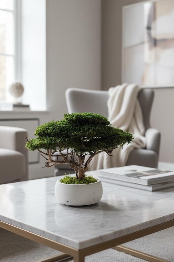 juniperus horizontalis bonsai Juniper Bonsai Tree On Rock Slab main image 1