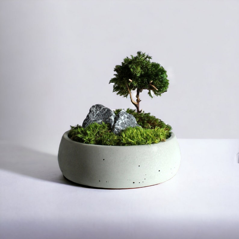 Handmade mini zen garden featuring a gray concrete pot with a mini bonsai tree crafted from natural roots and preserved mood moss, accented with two dark decorative stones.