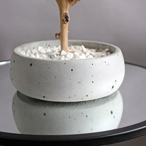 Handmade preserved moss bonsai tree with a natural green flat moss canopy, decorative exposed branches, and a round grey planter measuring 15 cm in diameter. This photo shows close-up of concrete pot.