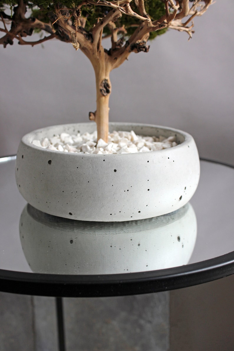 Handmade preserved moss bonsai tree with a natural green flat moss canopy, decorative exposed branches, and a round grey planter measuring 15 cm in diameter. This photo shows close-up of concrete pot.