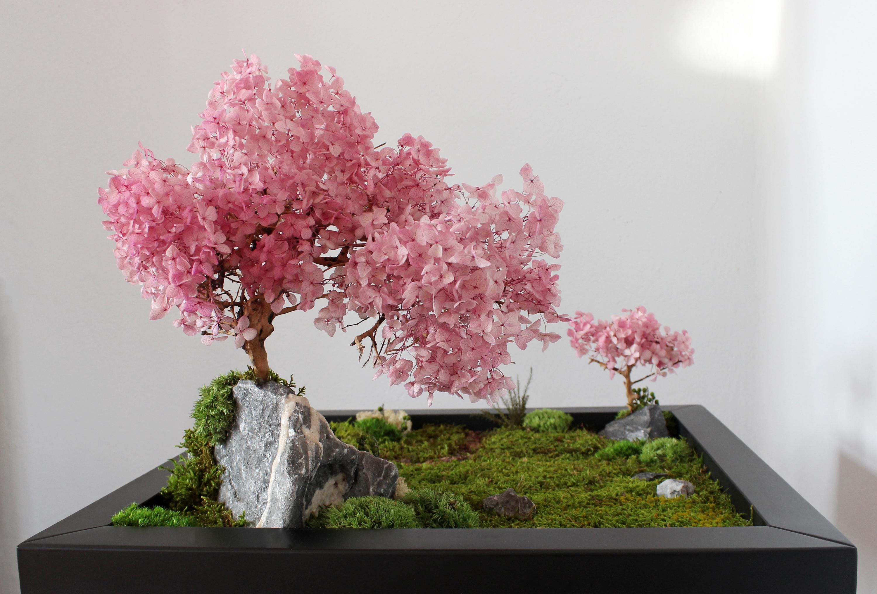Diorama With Cherry Blossom Bonsai, Zen Garden Decor, Game Room Decor,  Figure Display, Relaxing Room Decor, Fairy Garden, Fantasy Decor - Etsy