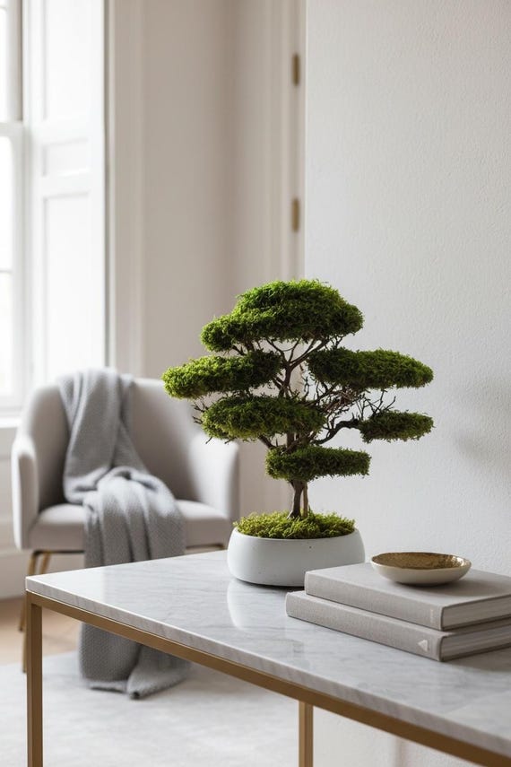 Konservierte Moos Bonsai Baum, minimalistische Wohnkultur, Zen Ecke  Statement Stck, Wohnzimmer Dekor, Housewarming Geschenk - Etsy sterreich