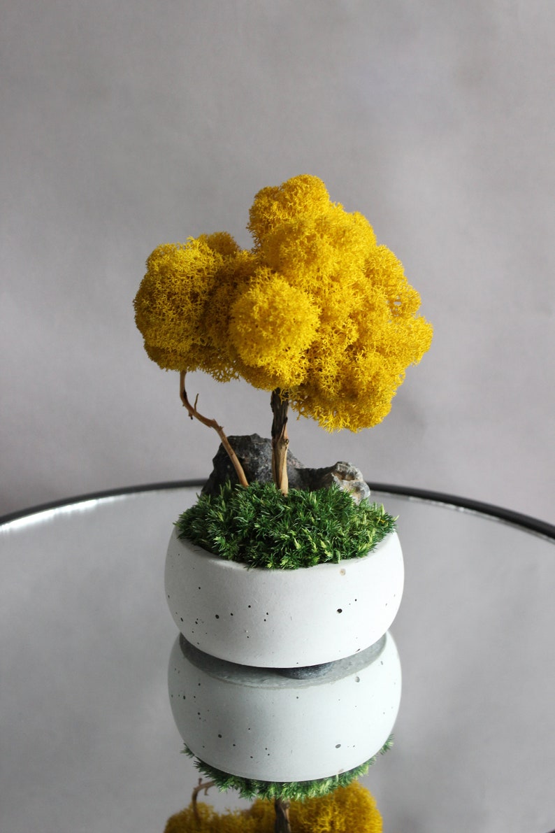 Yellow bonsai tree with stone and moss, autumn table centerpiece, fall decorations for home image 5