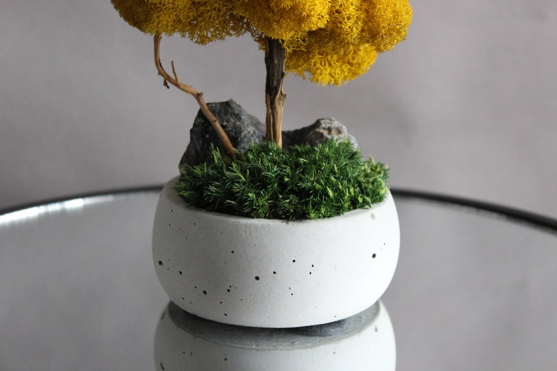 Yellow bonsai tree with stone and moss, autumn table centerpiece, fall decorations for home image 4