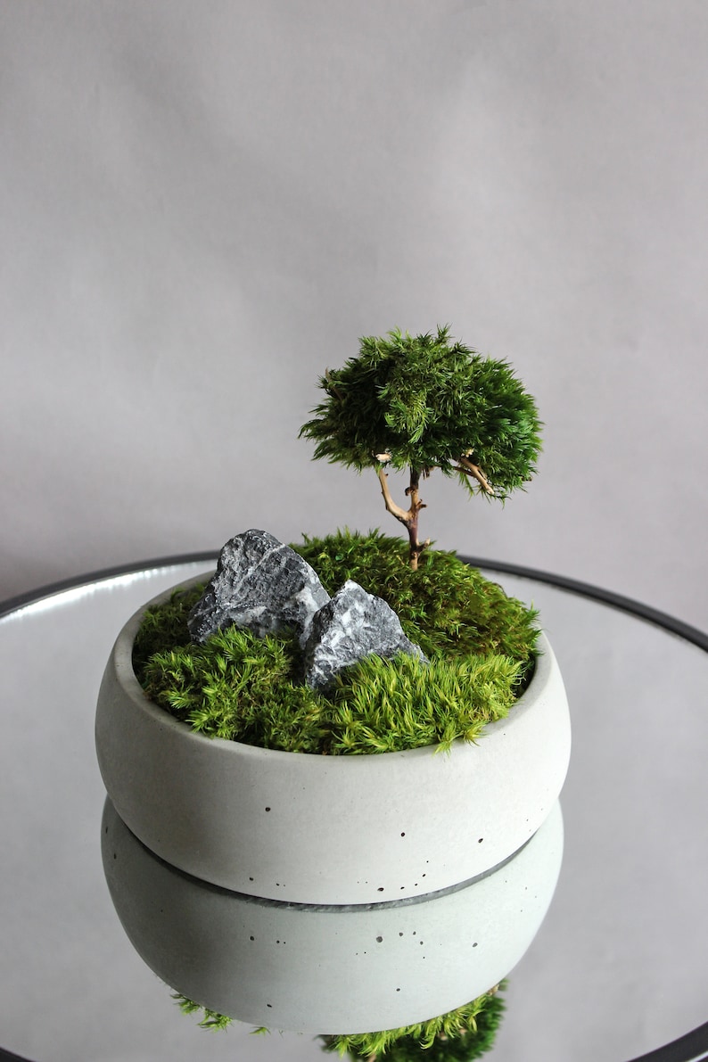 Handmade mini zen garden featuring a gray concrete pot with a mini bonsai tree crafted from natural roots and preserved mood moss, accented with two dark decorative stones.