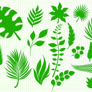 leaves svg, leaf svg, paper flower leaves svg, tropical leaves svg, leaf templates svg, greenery svg, botanical svg, monstera svg png