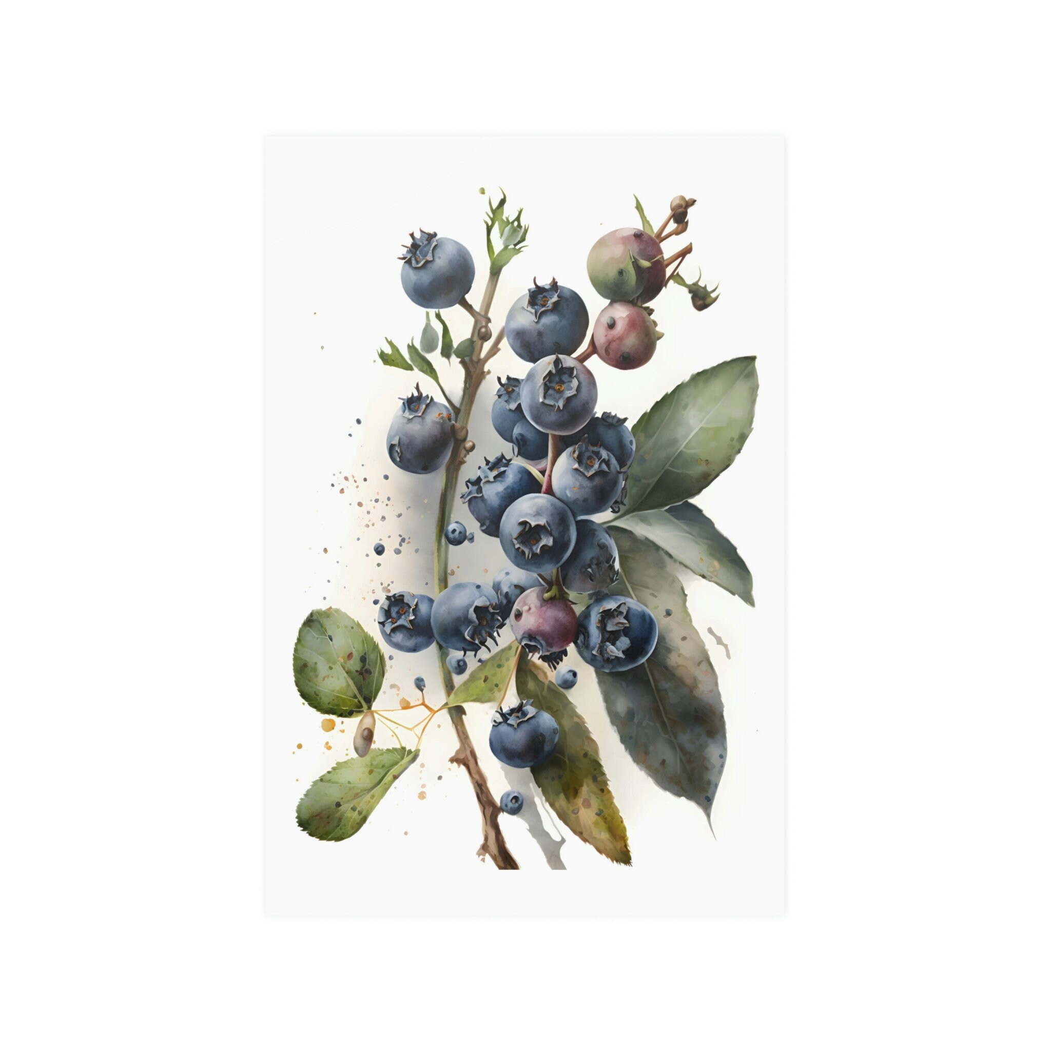 Blueberries Watercolor Print,fruit Print, Blueberries Watercolor Decor