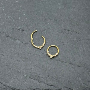 Chirurgenstahl Piercing Daith Septum Nasenpiercing, Piercing Ohr etc. Bild 3