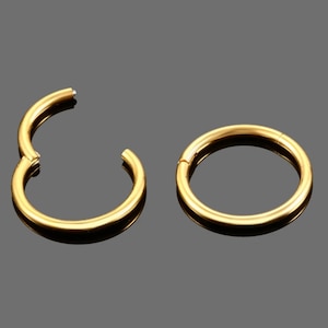 Piercing titanium click closure ring, piercing ear, helix conch tragus piercing lips piercing nose / nose ring septum etc. Gold