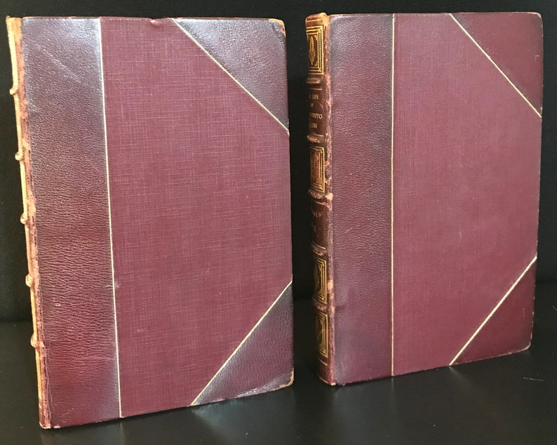 Autobiography of Benvenuto Cellini, two volumes, 1906 First Edition image 2