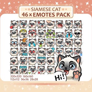 Paket med 46 siamesiska katter-emotes, Twitch-emotes, Discord-emotes, PNG-emotes, redo att användas