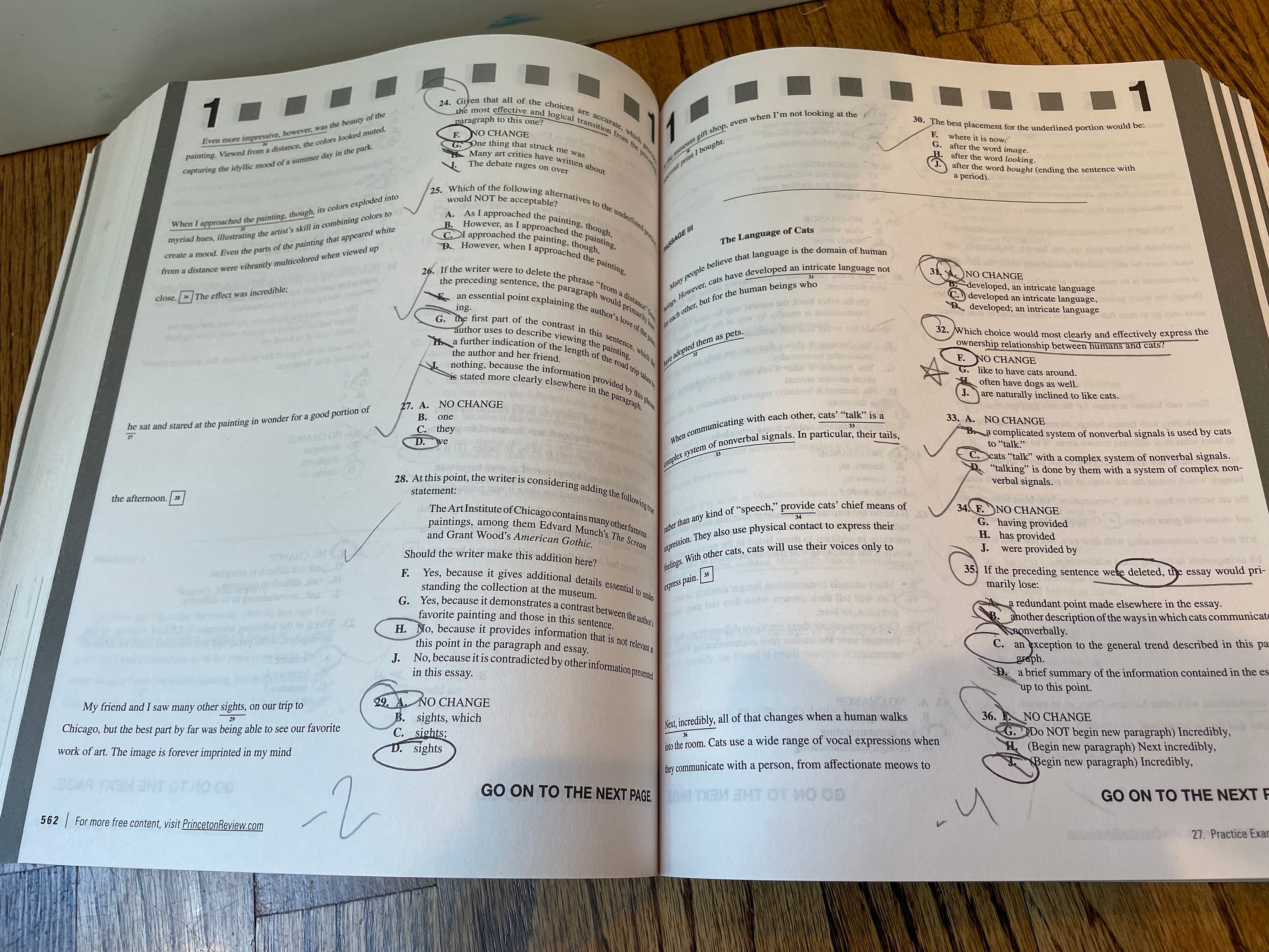Princeton University visual data 5
