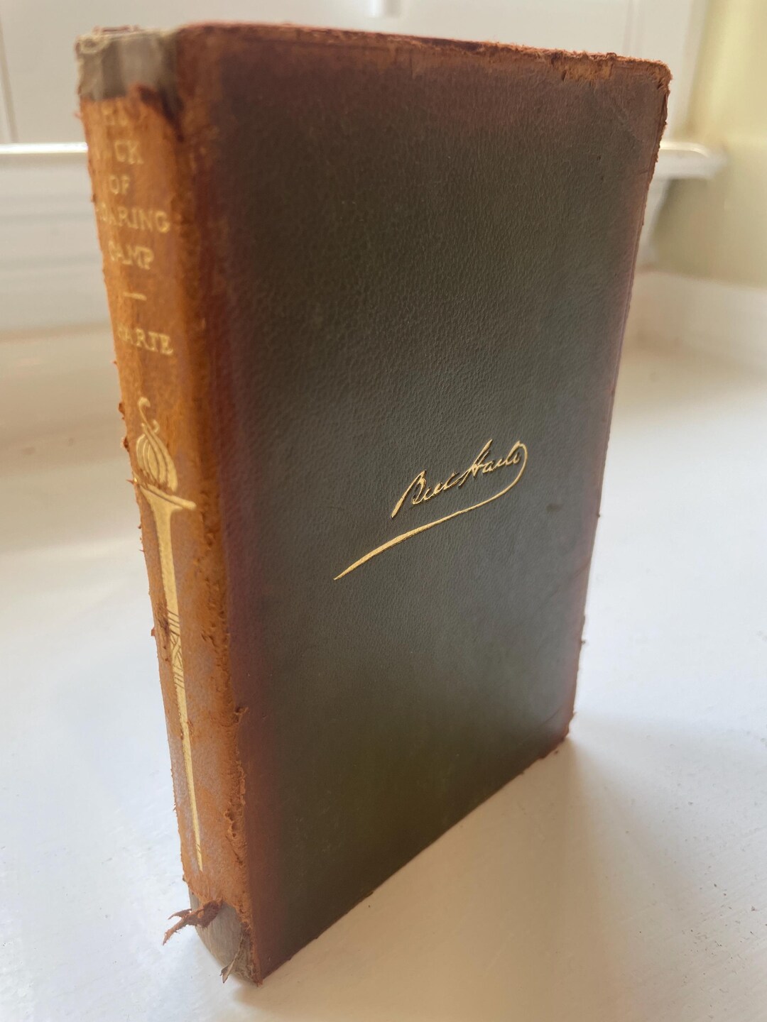 The Luck of Roaring Camp, and Other Sketches- Bret Harte Early 1900s Ed ...