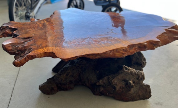 Redwood burl coffee sale table for sale